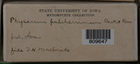 Image Associated With the Occurence